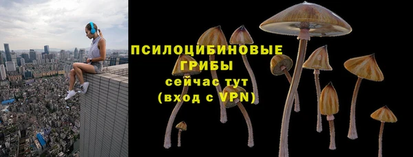 молекула духа Покровск