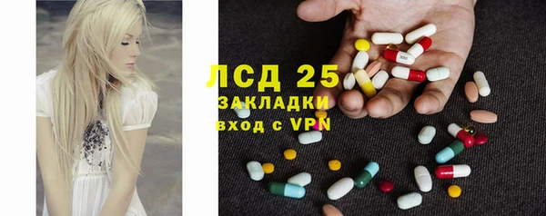 прущие грибы Алексеевка