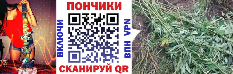 мега   Лобня  Каннабис Amnesia 